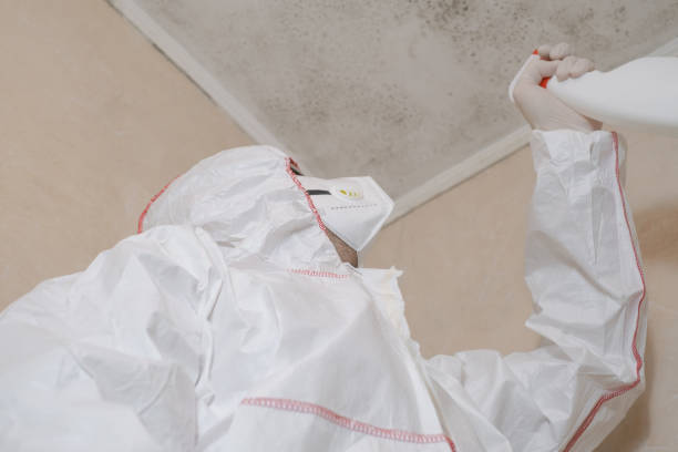 Best Mold Cleaning Services  in Point Pleasant, WV